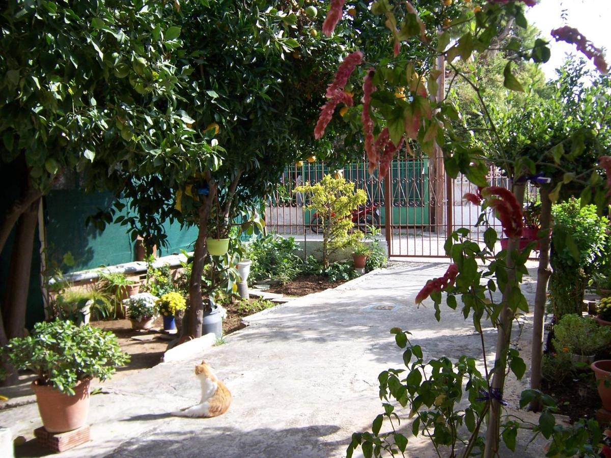 Apartament Maria'S Haus In Artemida Zewnętrze zdjęcie